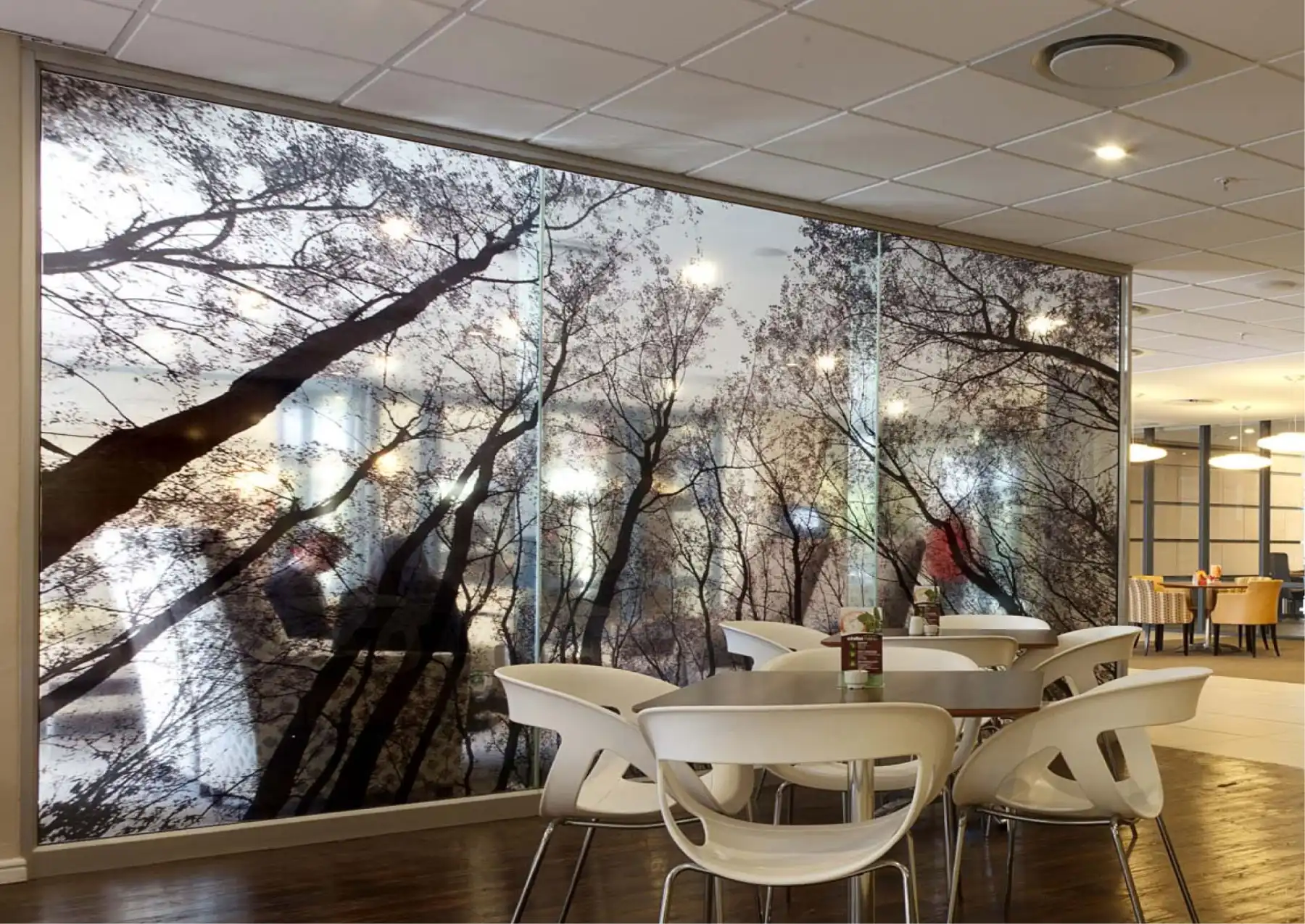 CLEAR VINYL - Sai Digital Service