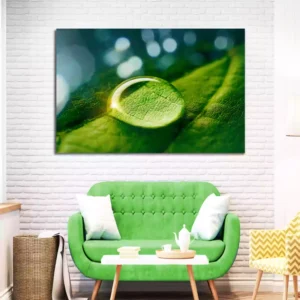 Beauty Transparent Drop of Water on a Green Leaf Canvas Wall Painting