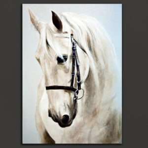 Beautiful Horse Modern Art Canvas Wall Painting