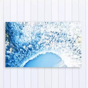 Aerial View of Snow Covered Forest Nature Canvas Wall Painting