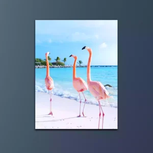 Pink flamingo Aruba Island Canvas Wall Painting